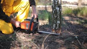 Best Soil Testing and Treatment  in Oak Park Heights, MN